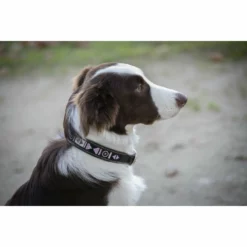 French Equestrian Penelope Pearl Dog Collar