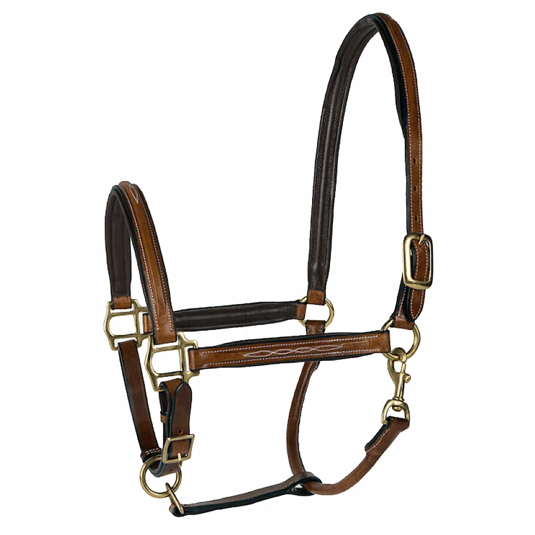 New π JPC Equestrian Lettia Padded Leather Halter Halters & Leads π 3 JPC Equestrian Lettia Padded Leather Halter Halters & Leads