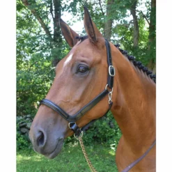 Red Barn By KL Select Devon Ergonomic Halter Halters & Leads