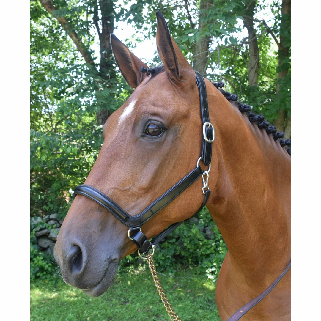 Best Pirce 🔥 Red Barn By KL Select Devon Ergonomic Halter Halters & Leads ✔️ 3 Red Barn By KL Select Devon Ergonomic Halter Halters & Leads