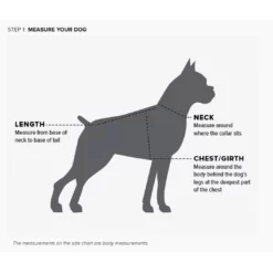 Ariat Team Softshell Dog Jacket