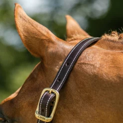 Discount π Walsh British Halter Halters & Leads π 17 Walsh British Halter Halters & Leads