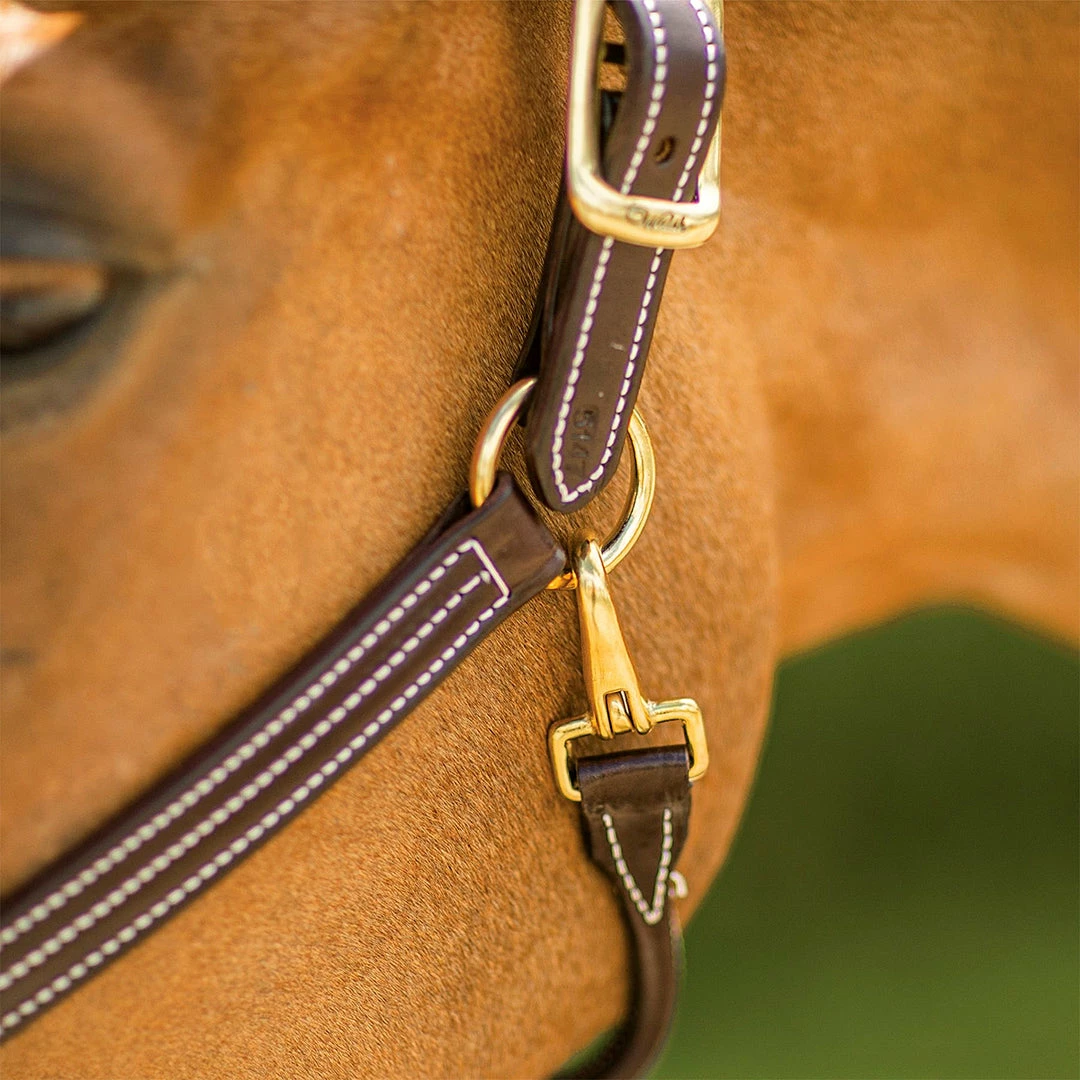 Discount π Walsh British Halter Halters & Leads π 12 Walsh British Halter Halters & Leads