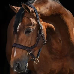 Coupon ๐ Halters & Leads Horseware Rambo Micklem Halter ๐ฅฐ 7 Halters & Leads Horseware Rambo Micklem Halter