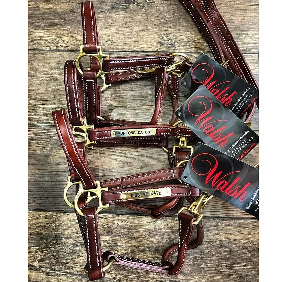 Hot Sale π Walsh Showman Halter π 3 Walsh Showman Halter