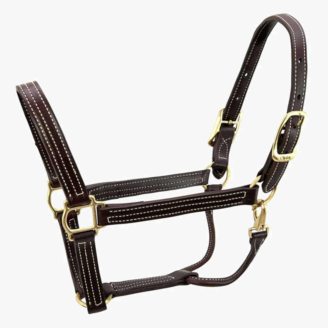 Discount π Walsh British Halter Halters & Leads π 6 Walsh British Halter Halters & Leads