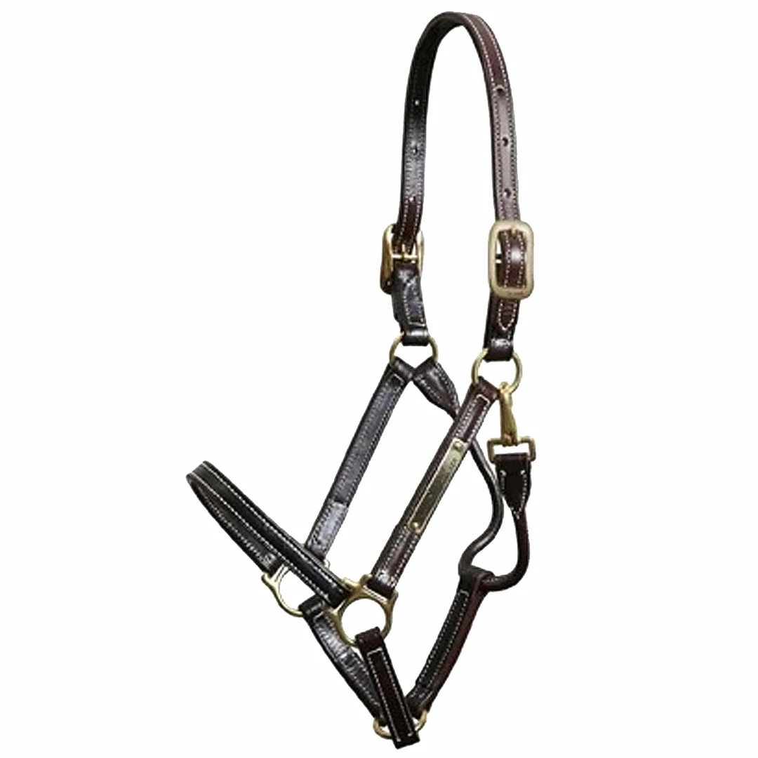 Hot Sale π Walsh Showman Halter π 4 Walsh Showman Halter