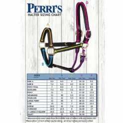 Perri's Leather Perri's 1