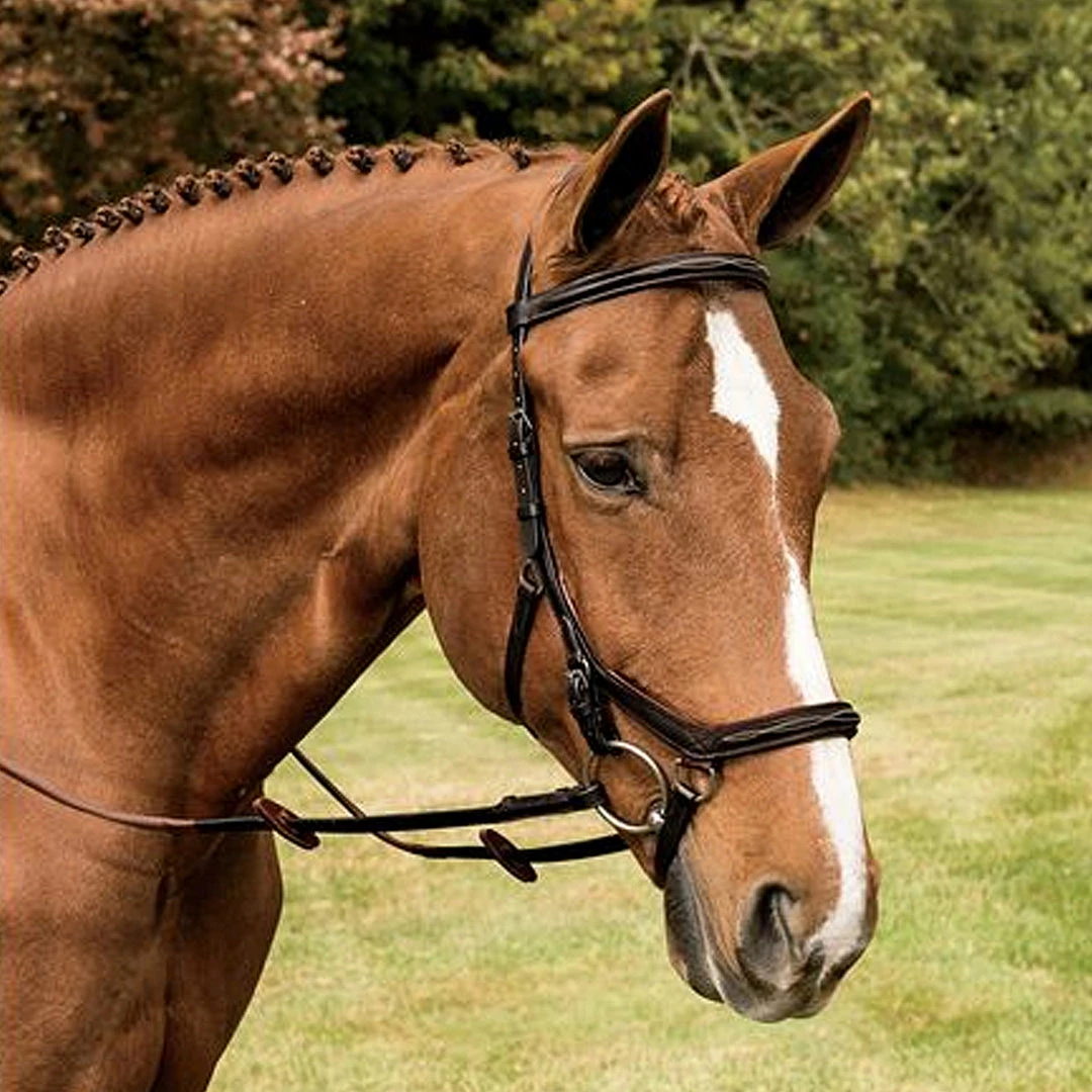 Buy 🧨 Horseware English Bridles Rambo Micklem Deluxe Competition Bridle 🔥 8 Horseware English Bridles Rambo Micklem Deluxe Competition Bridle