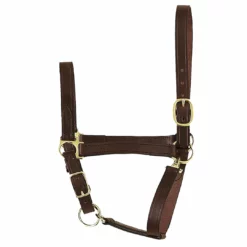 Perri's Leather Perri's Economy Leather Halter Halters & Leads