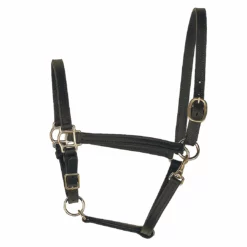 Perri's Leather Turnout Halter Halters & Leads