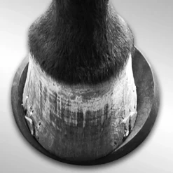 New ⌛ Grooming EquiFit HoofSavers ✨ 10 Grooming EquiFit HoofSavers