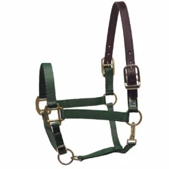 New 👏 Perri's Leather Perri's Premium Nylon Safety Halter Halters & Leads 👏 24 Perri's Leather Perri's Premium Nylon Safety Halter Halters & Leads