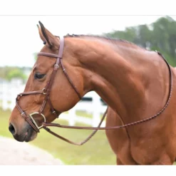 Coupon π Huntley Equestrian Huntley Fancy Stitch Figure 8 Bridle π 27 Huntley Equestrian Huntley Fancy Stitch Figure 8 Bridle