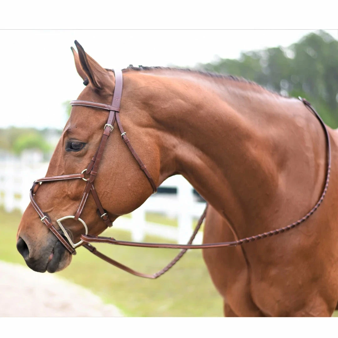 Coupon π Huntley Equestrian Huntley Fancy Stitch Figure 8 Bridle π 15 Huntley Equestrian Huntley Fancy Stitch Figure 8 Bridle
