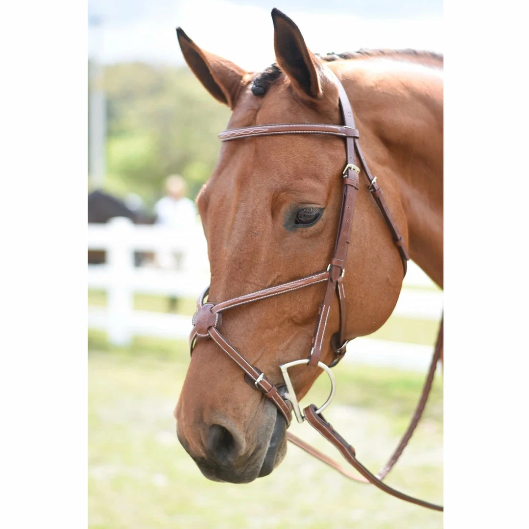 Coupon π Huntley Equestrian Huntley Fancy Stitch Figure 8 Bridle π 3 Huntley Equestrian Huntley Fancy Stitch Figure 8 Bridle