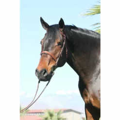 English Bridles Huntley Equestrian Sedgwick Leather Fancy Stitched Bridle