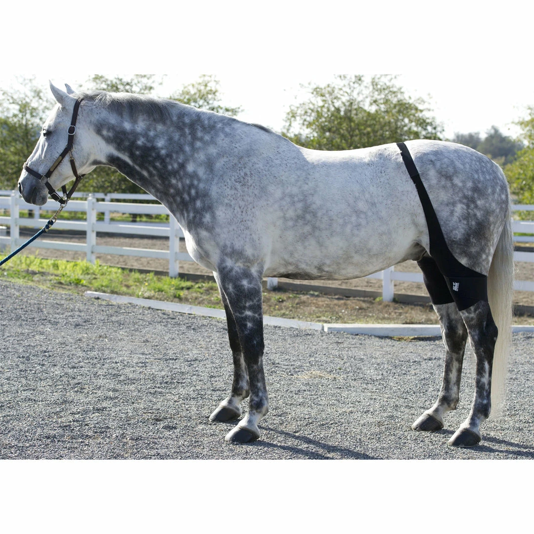 Best deal 👍 Ice Horse Stifle Wrap Therapeutic Horse 🥾 Boots & Wraps 🤩 3 Ice Horse Stifle Wrap Therapeutic Horse Boots & Wraps