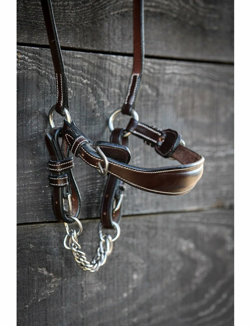 Cheapest 💯 French Equestrian Jump'in Chain Drop Noseband - Week Collection English Bridles ⭐ 3 French Equestrian Jump'in Chain Drop Noseband - Week Collection English Bridles