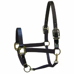 New 👏 Perri's Leather Perri's Premium Nylon Safety Halter Halters & Leads 👏 28 Perri's Leather Perri's Premium Nylon Safety Halter Halters & Leads