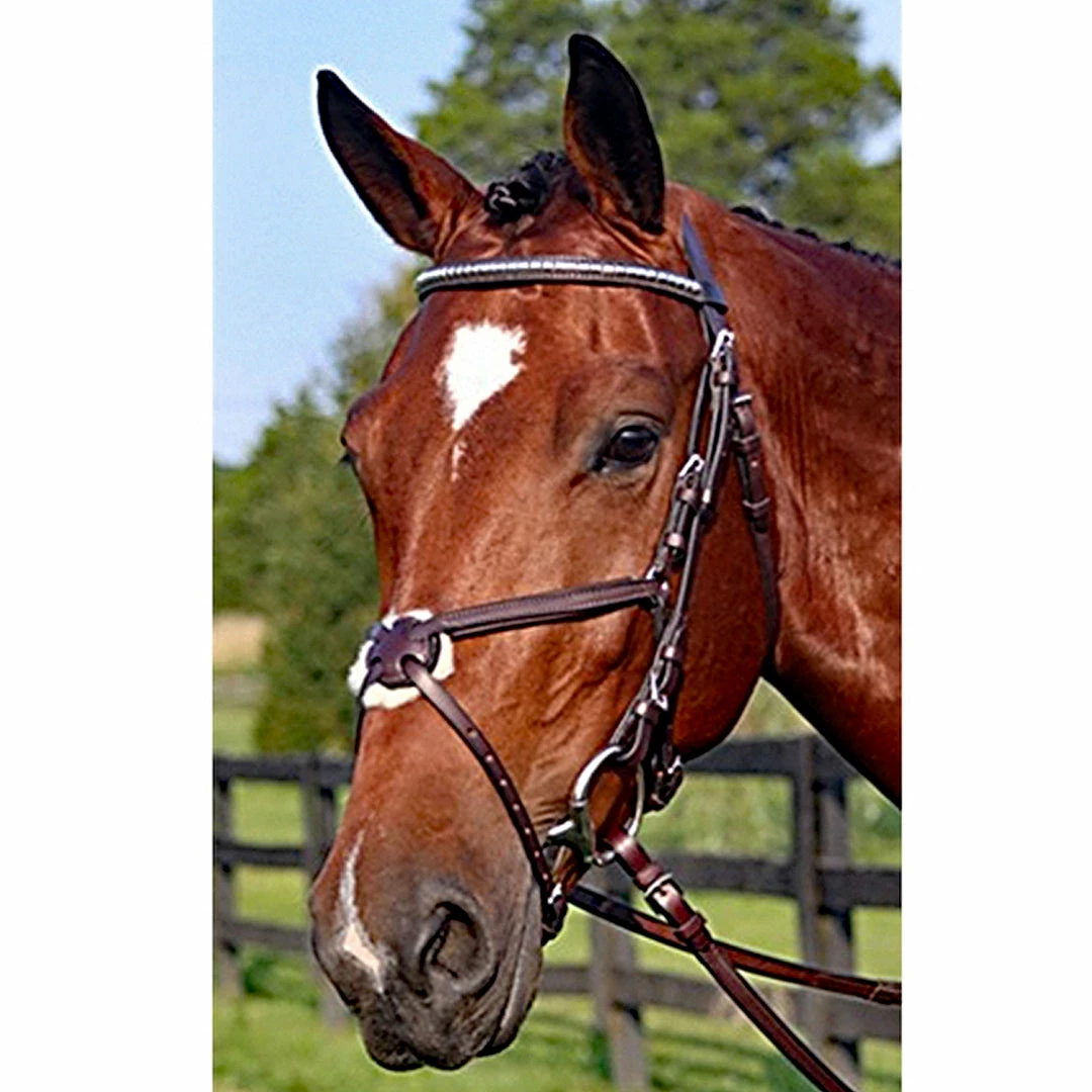 Best deal π English Bridles Nunn Finer Figure Eight Bridle π 8 English Bridles Nunn Finer Figure Eight Bridle