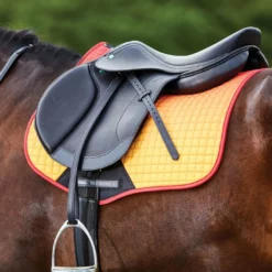 Saddle Pads & Fittings Weatherbeeta Prime All Purpose Ombre Saddle Pad