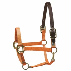 New 👏 Perri's Leather Perri's Premium Nylon Safety Halter Halters & Leads 👏 29 Perri's Leather Perri's Premium Nylon Safety Halter Halters & Leads