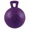 Jacks Mfg Jolly Ball With 10" Handle