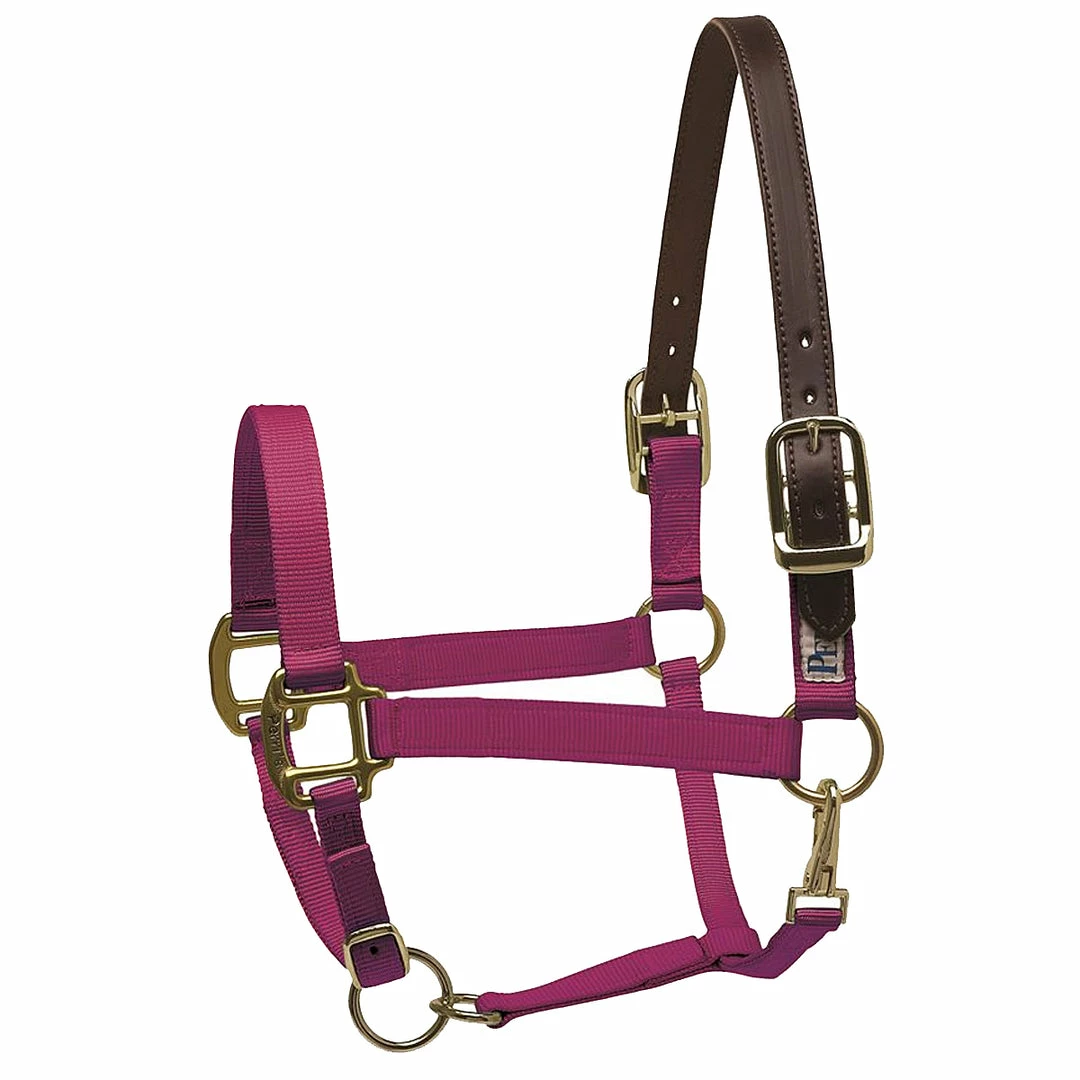 New 👏 Perri's Leather Perri's Premium Nylon Safety Halter Halters & Leads 👏 4 Perri's Leather Perri's Premium Nylon Safety Halter Halters & Leads