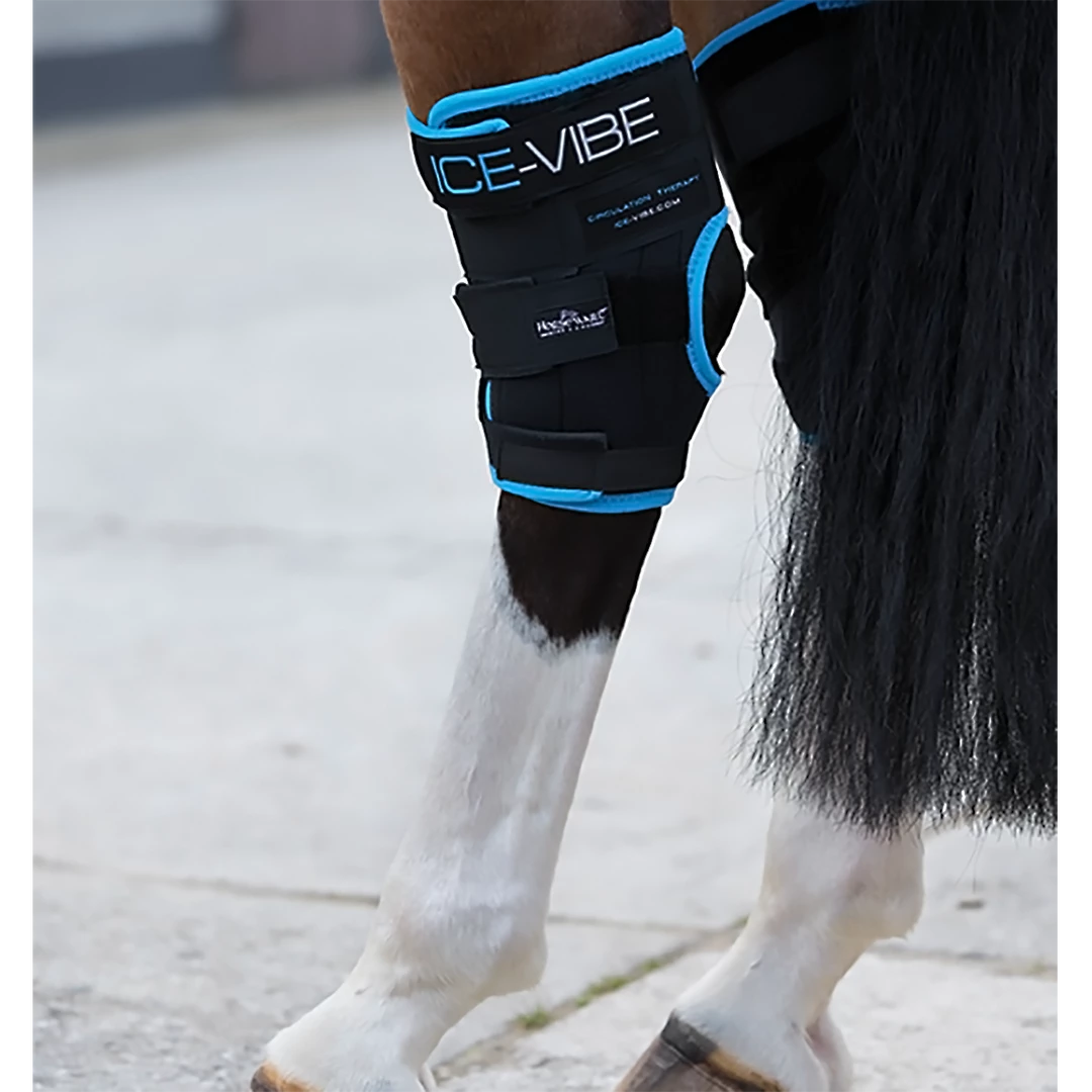 Coupon ๐ Ice-Vibe Hock Wrap By Horseware Therapeutic Horse ๐ฅพ Boots & Wraps ๐ฏ 3 Ice-Vibe Hock Wrap By Horseware Therapeutic Horse Boots & Wraps