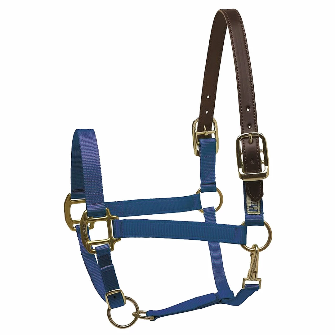 New 👏 Perri's Leather Perri's Premium Nylon Safety Halter Halters & Leads 👏 15 Perri's Leather Perri's Premium Nylon Safety Halter Halters & Leads