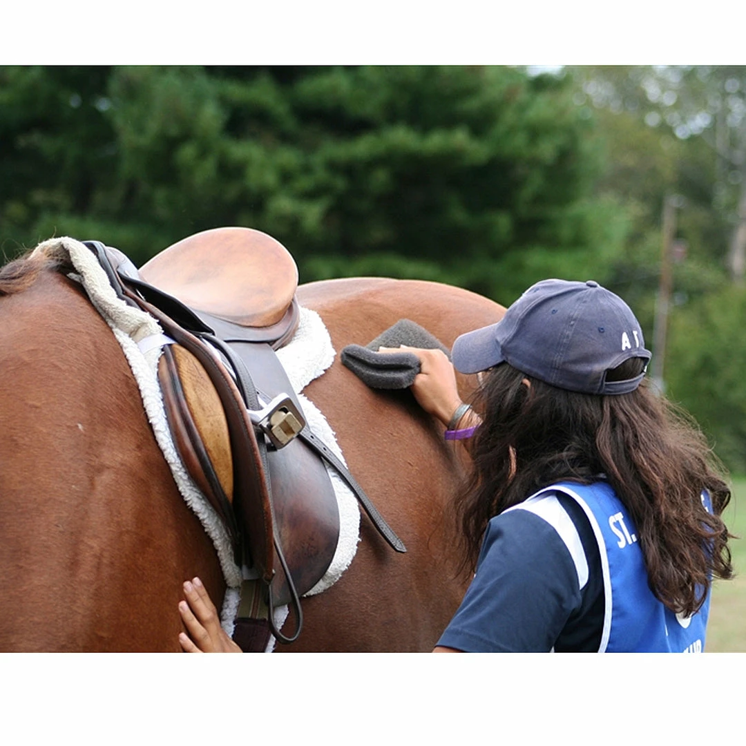 Buy β Grooming Nunn Finer Scrub Rub π 9 Grooming Nunn Finer Scrub Rub