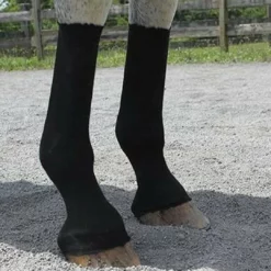 Grooming EquiFit Horsesox