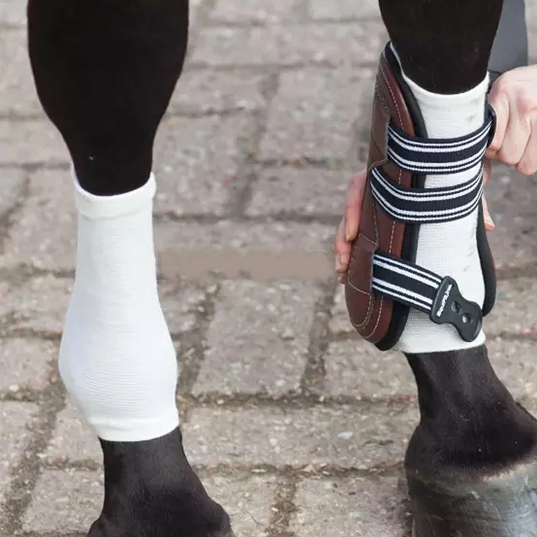 Brand new π Grooming EquiFit Horsesox π₯° 6 Grooming EquiFit Horsesox