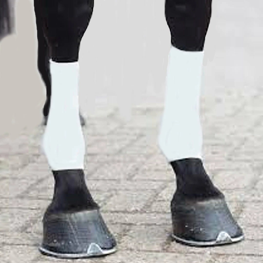 Brand new π Grooming EquiFit Horsesox π₯° 5 Grooming EquiFit Horsesox