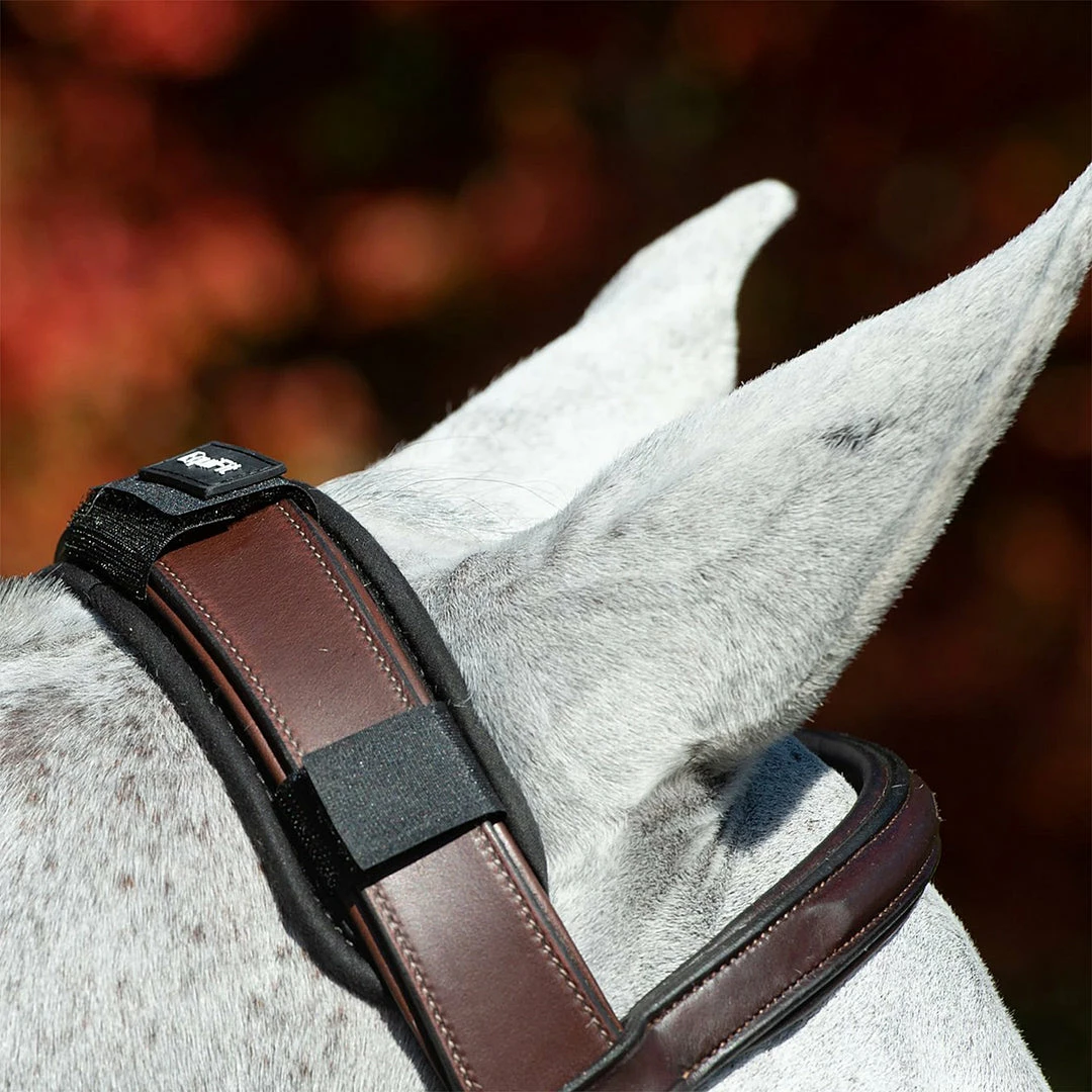 Outlet π EquiFit ImpacTeq CrownPad English Bridles π 4 EquiFit ImpacTeq CrownPad English Bridles