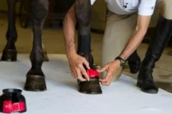 ThinLine Gatorbootz Bell Boot Horse Boots & Wraps