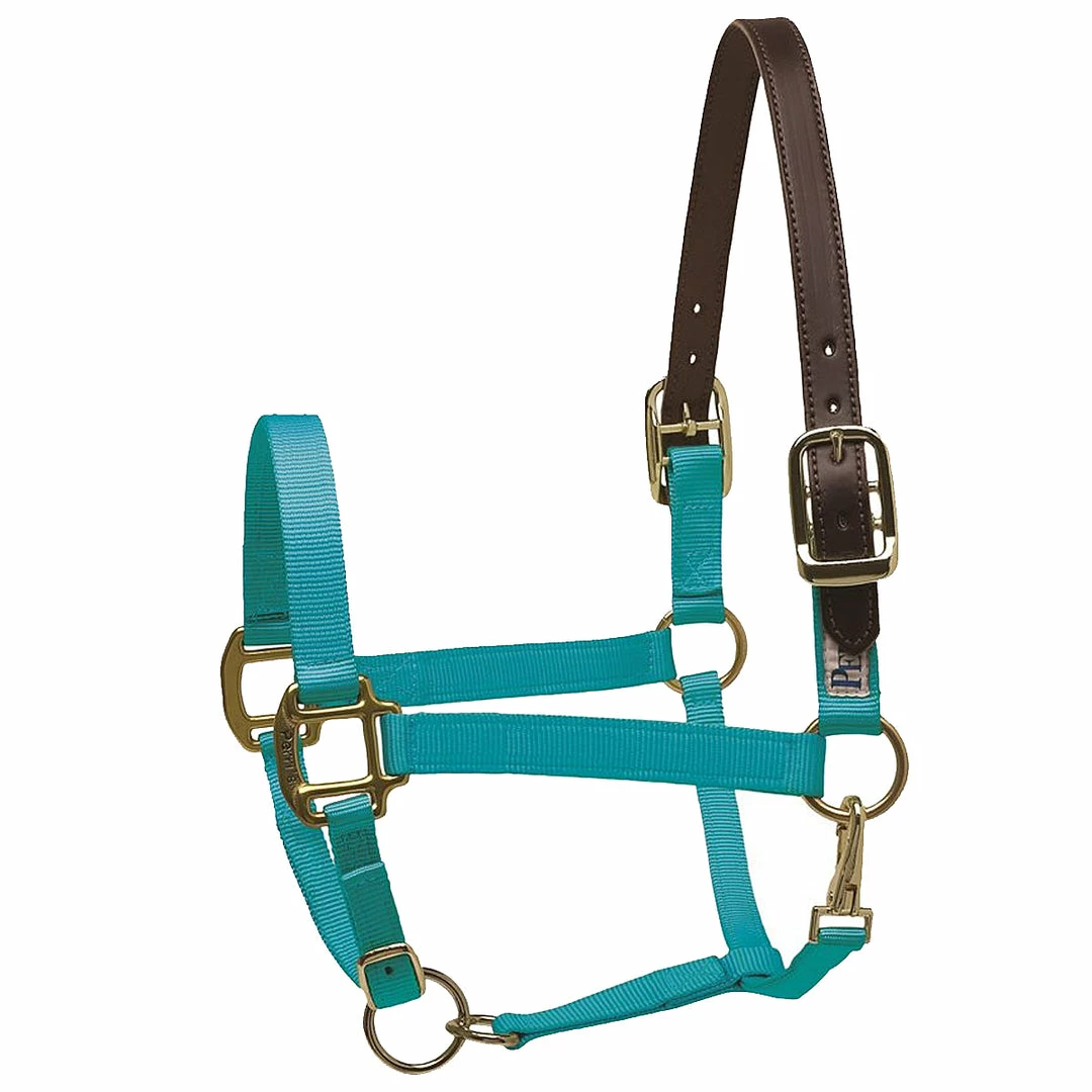 New 👏 Perri's Leather Perri's Premium Nylon Safety Halter Halters & Leads 👏 16 Perri's Leather Perri's Premium Nylon Safety Halter Halters & Leads