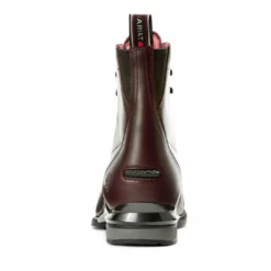 Ariat Women's Performer Nitro Paddock Boot